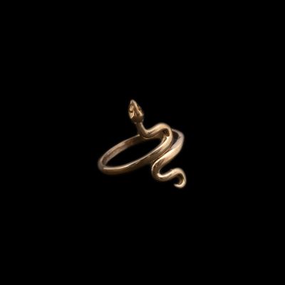 Mosiężny pierścień Grass Snake | 660792