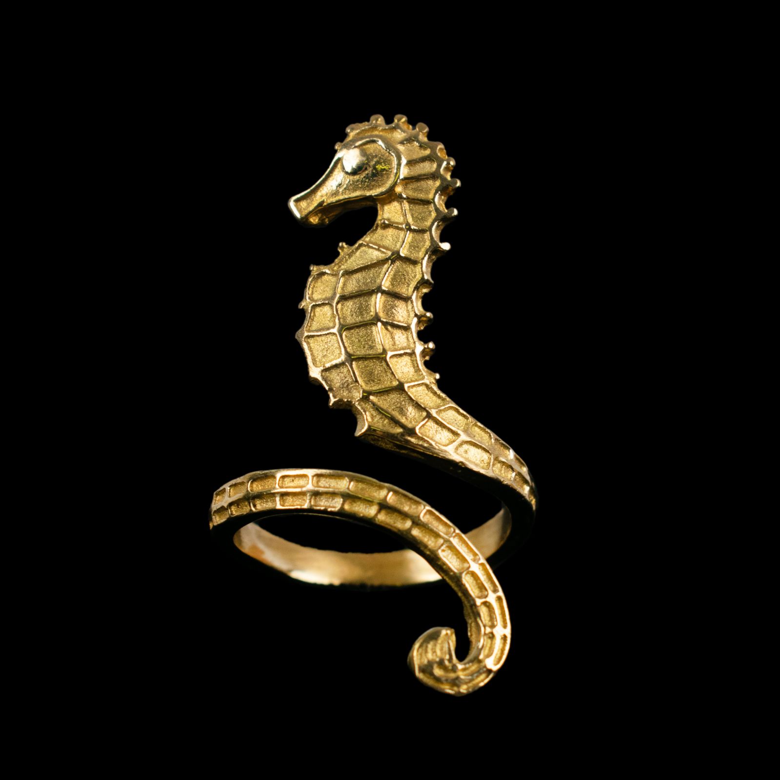 Mosiężny pierścień Seahorse 1 India